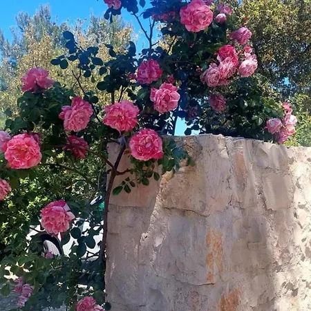Il Trullo Delle Rose, Monopoli By Il Pumo Di Puglia Villa *